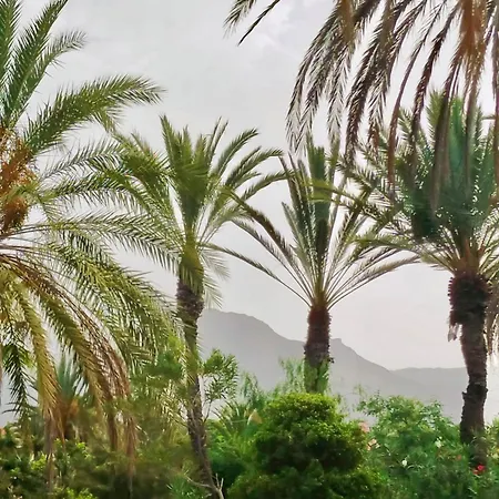 Sweet Ocean View דירה