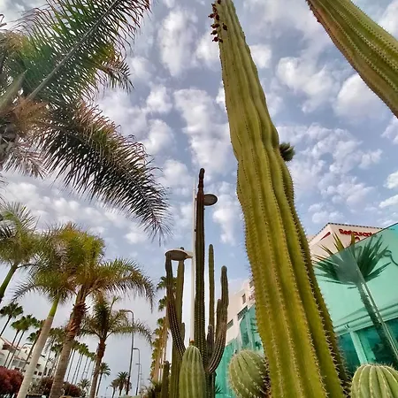 Apartamento Sweet Ocean View Playa de las Americas (Tenerife)