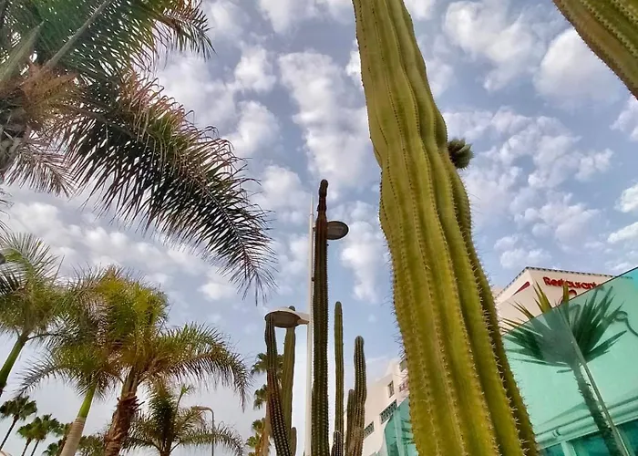 Apartman Sweet Ocean View Playa de las Américas